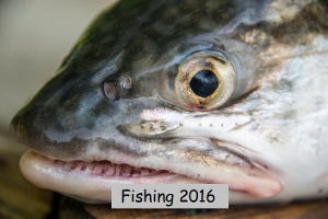 Fishing 2016